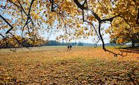 Archäologischer Wanderweg - Herbst